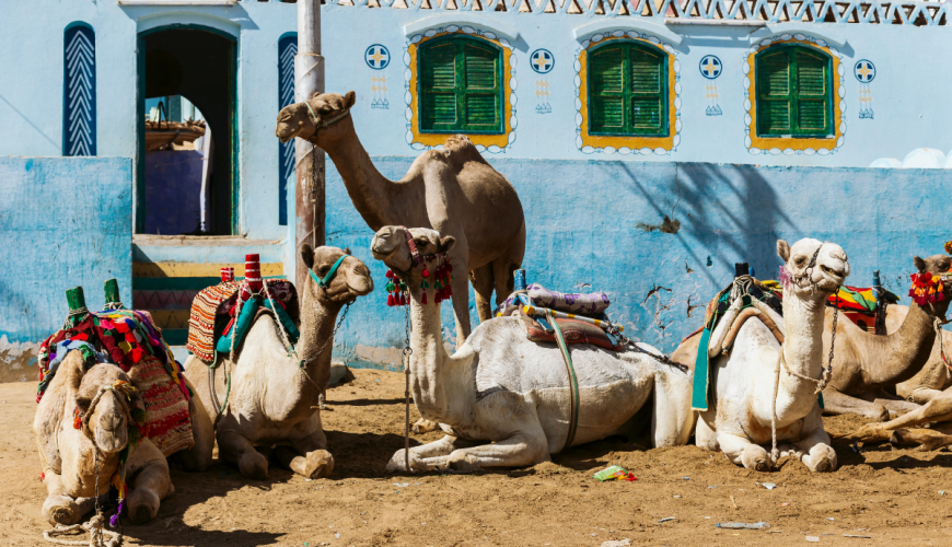 Nubian Village in Aswan