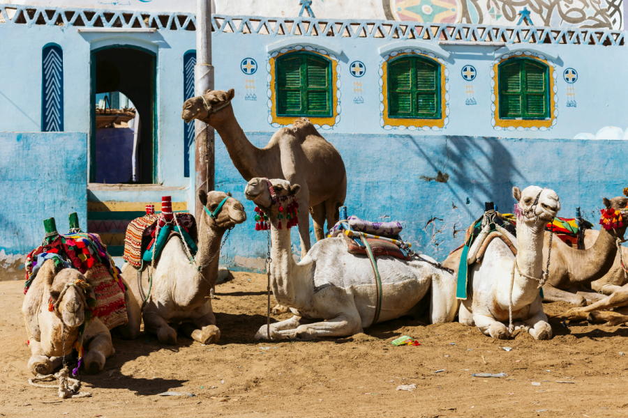 Nubian Village in Aswan